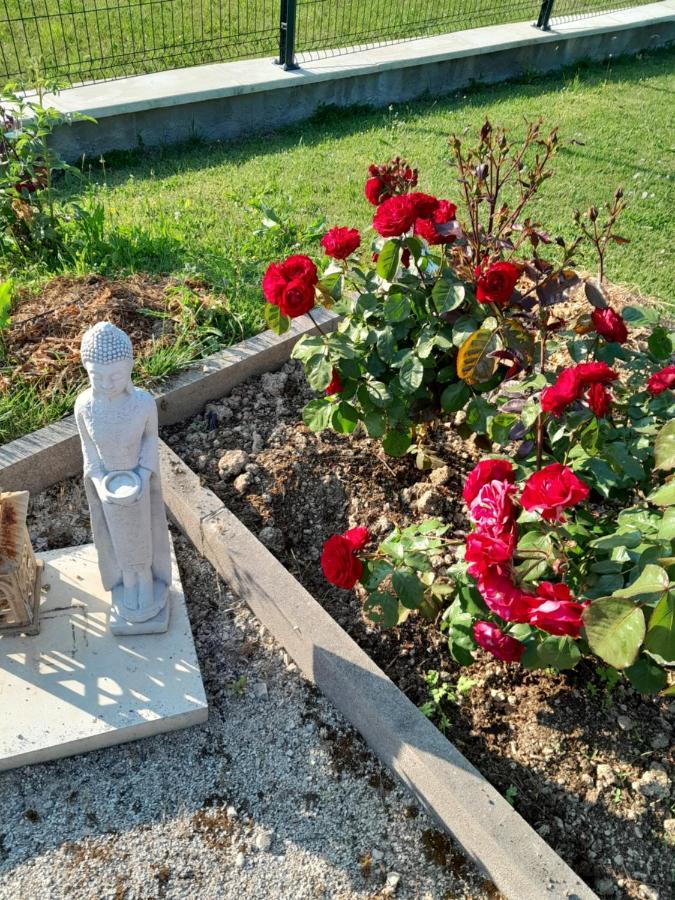 Gite Du Capitaine Maranville Zewnętrze zdjęcie